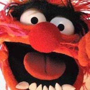 Meet your Posher, Jesse